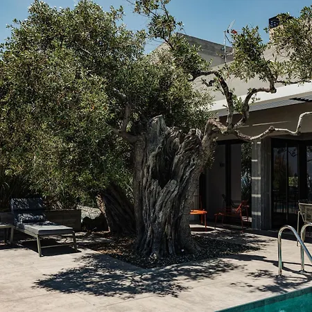 Olive Blue Thassos Luxury