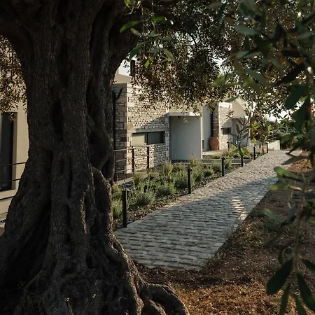 Olive Blue Thassos Luxury Vilă *