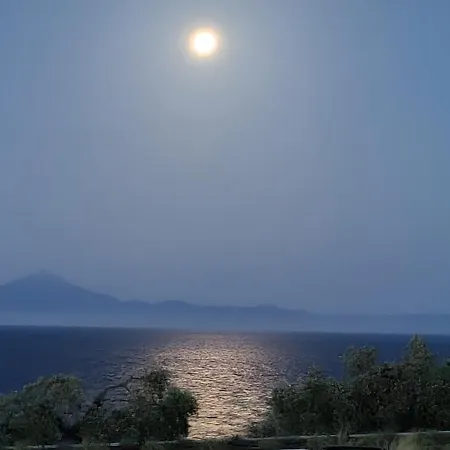 Olive Blue Thassos Luxury