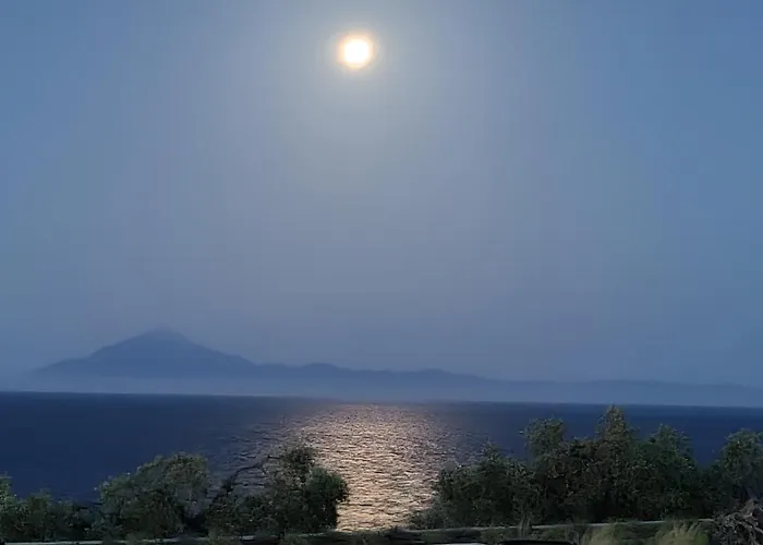 Olive Blue Thassos Luxury