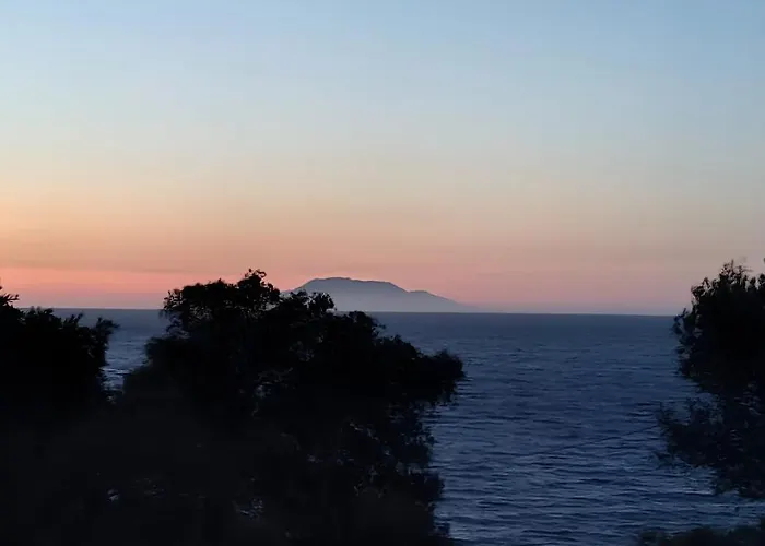 Olive Blue Thassos Luxury