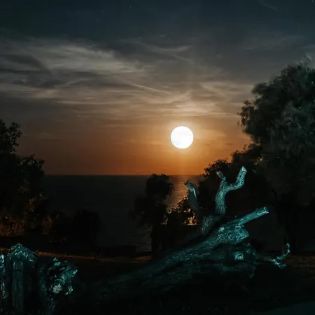 Olive Blue Thassos Luxury Villa Astris