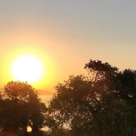 Villa Olive Blue Thassos Luxury