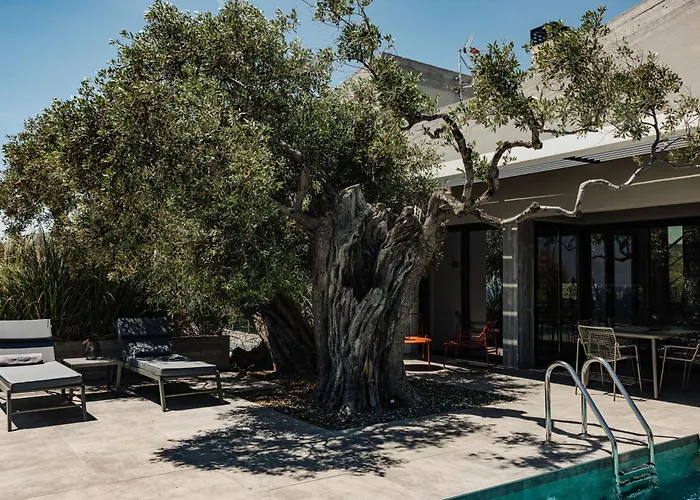 Olive Blue Thassos Luxury